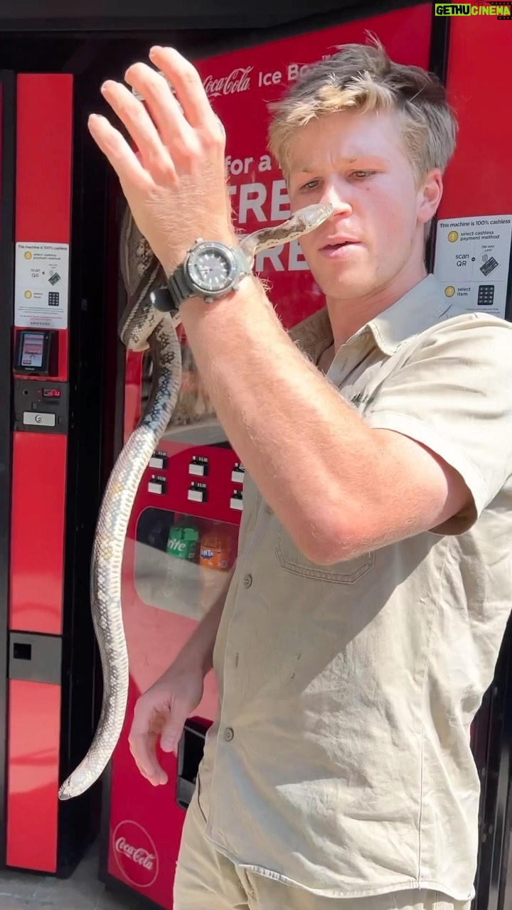 Robert Clarence Irwin - 426.2K Likes - So this was a first for me…