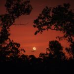 Robert Clarence Irwin Instagram - Moonset on the Steve Irwin Wildlife Reserve. Telephoto landscape will always be one of my favourite styles 👌📷