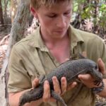 Robert Clarence Irwin Instagram - Mangrove monitor! One of my faves and a great find by @chandlerpowell 👌