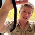 Robert Clarence Irwin Instagram - Rescued this keelback snake from under a step of all places!