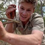 Robert Clarence Irwin Instagram - Helping a tree snake cross the road!