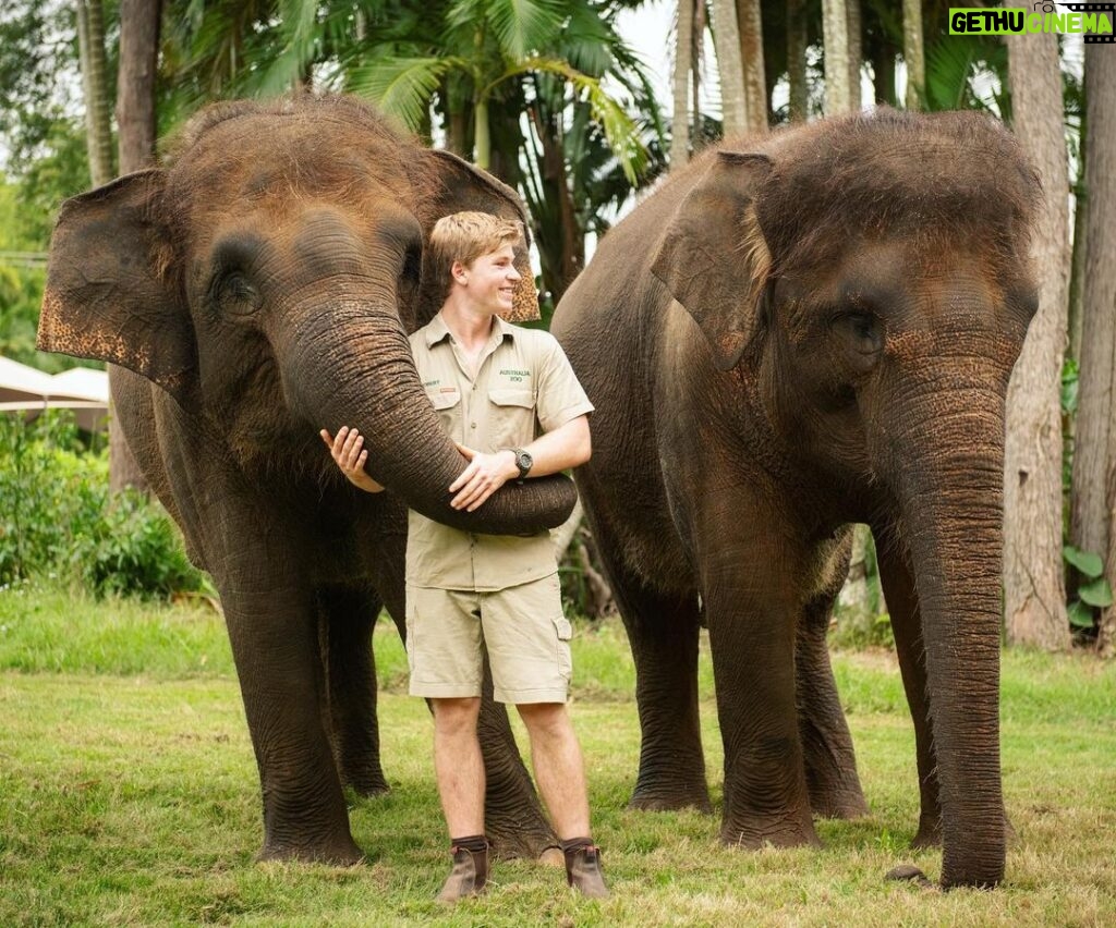 Robert Clarence Irwin Instagram - Happy #WorldElephantDay! So proud of our wonderful Sumatran elephant conservation, protecting these beauties in the wild!