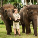 Robert Clarence Irwin Instagram - Happy #WorldElephantDay! So proud of our wonderful Sumatran elephant conservation, protecting these beauties in the wild!