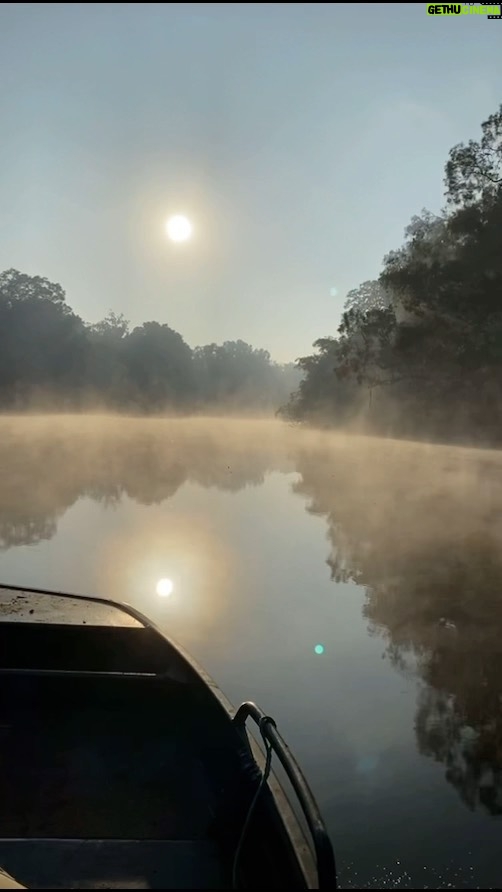 Robert Clarence Irwin Instagram - We’re back on the Steve Irwin Wildlife Reserve for our annual crocodile research trip. It doesn’t get much better than catching crocodiles on the remote Wenlock River for groundbreaking science… it’s good to be back in wild croc country.