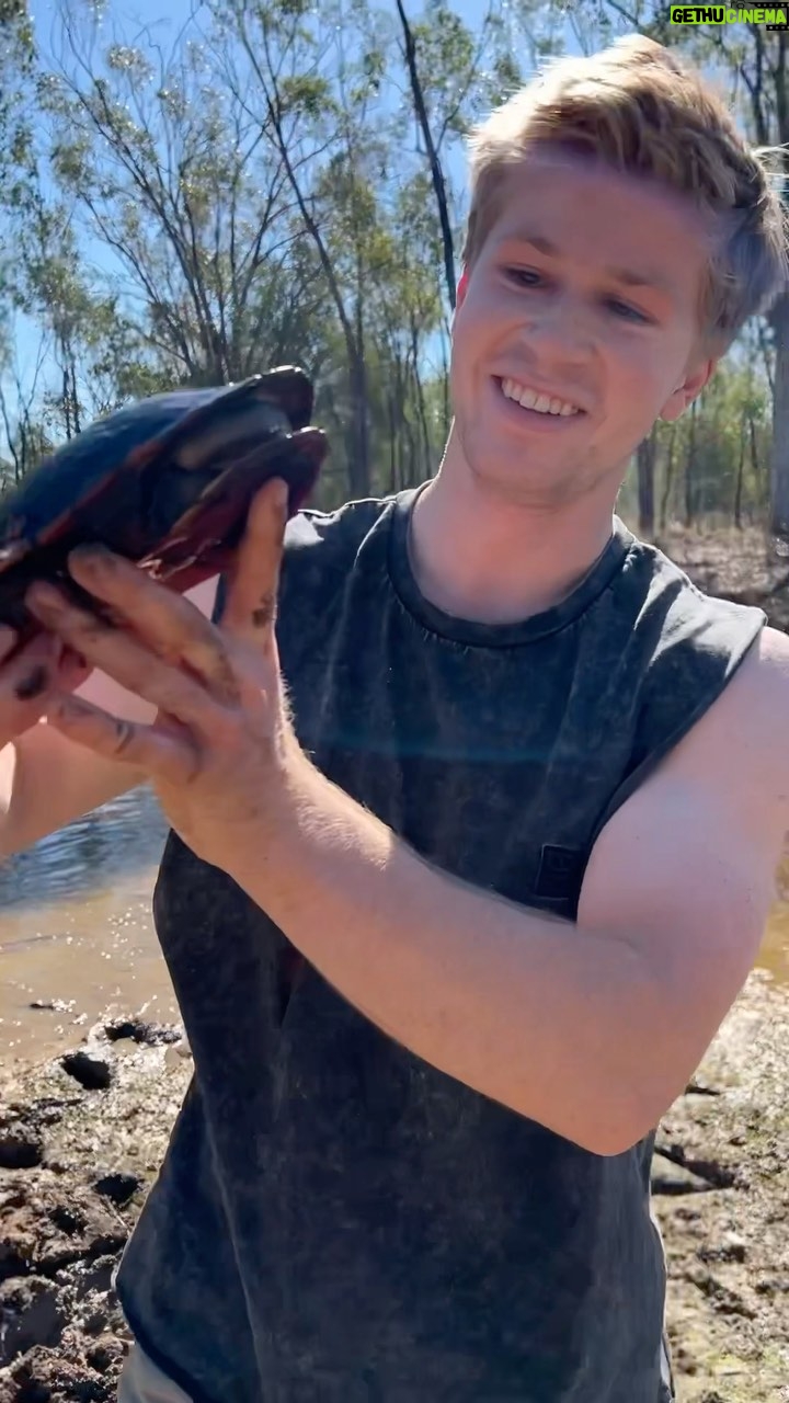 Robert Clarence Irwin Instagram - Discovering a little freshwater turtle in a waterhole!