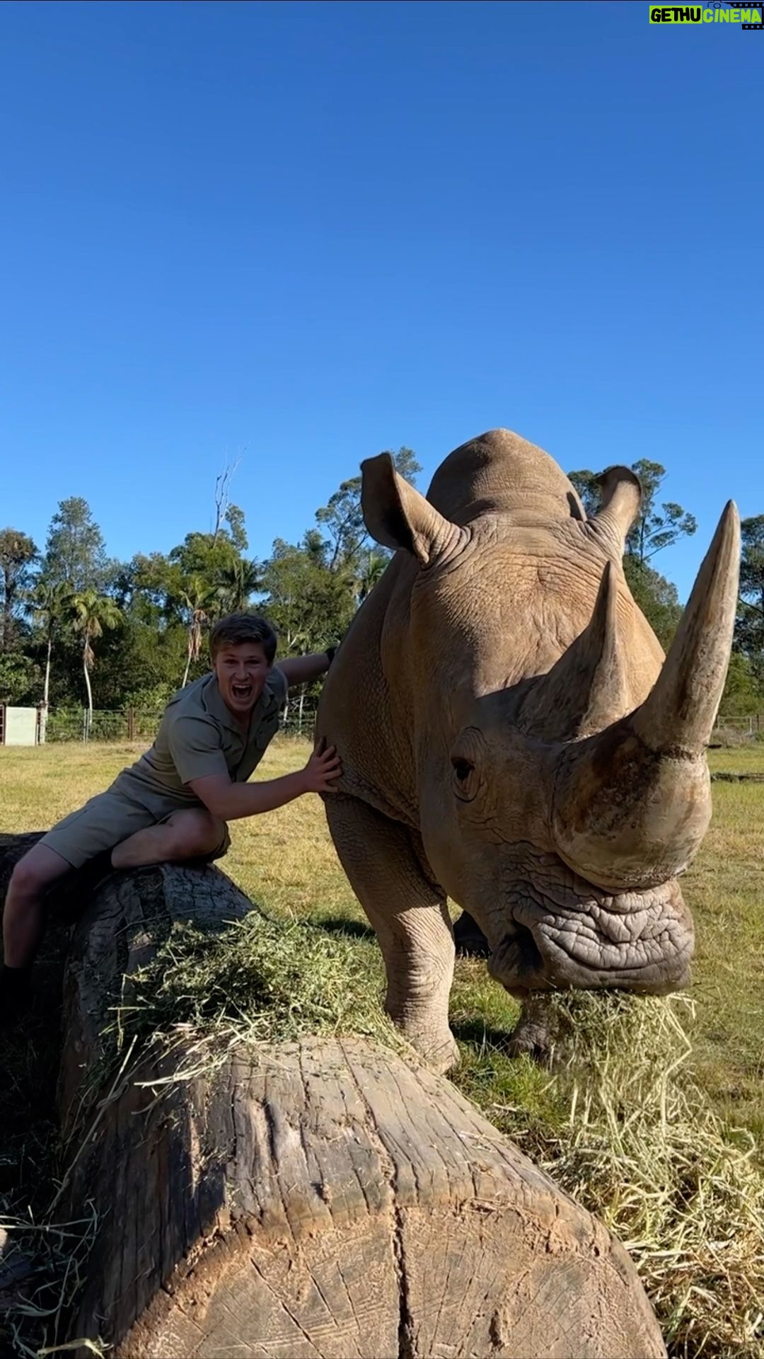 Robert Clarence Irwin - 171.5K Likes - This big guy is DJ… sweetest rhino you’ll ever meet!