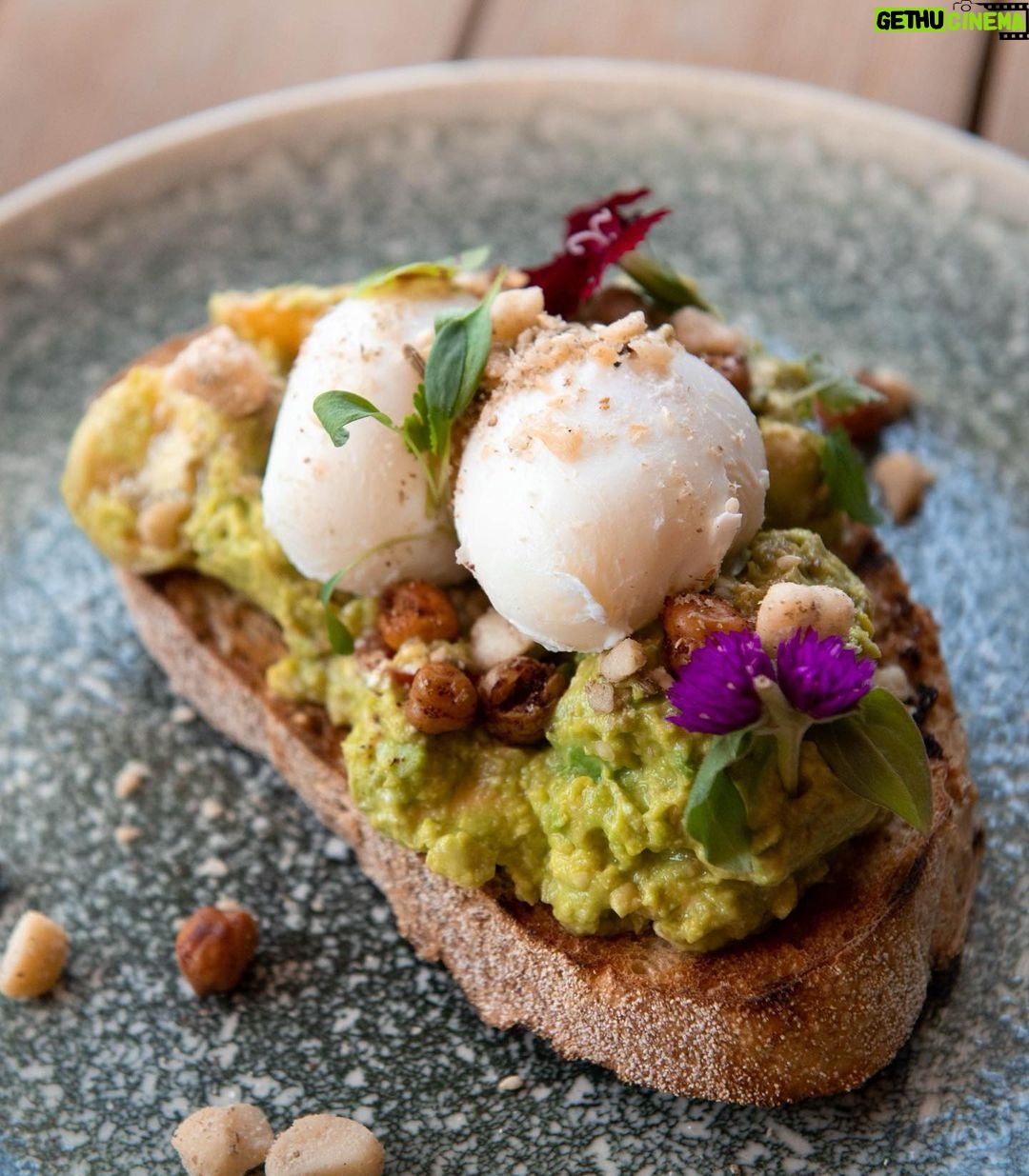 Robert Clarence Irwin Instagram - Breakfasts done right at our Warrior Restaurant and Bar @crocodilehunterlodge 👌 The Crocodile Hunter Lodge