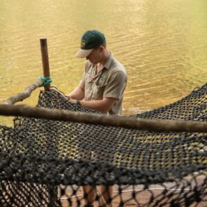 Robert Clarence Irwin Instagram - We’ve been hard at work building croc traps for our big croc research expedition to the remote Steve Irwin Wildlife Reserve. We utilise the exact same techniques my dad came up with to catch, research, and ultimately conserve crocodiles!
