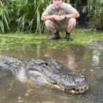 Robert Clarence Irwin Instagram - Just a few of our many alligators that call Australia Zoo home!
