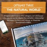 Robert Clarence Irwin Instagram - Photographers - Entries are still open until August 31 for our coveted Crikey Magazine Photography Competition! Check out the link in my bio!