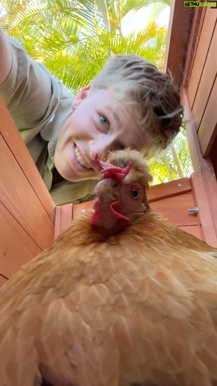 Robert Clarence Irwin - 275.4K Likes - It’s Nacho’s world, we’re just living in it 🫡