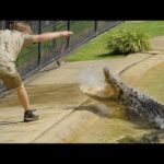 Robert Clarence Irwin Instagram - There’s no question - the strike from a saltwater crocodile is one of the most powerful forces on the planet. What a privilege to work with these dinosaurs every day!