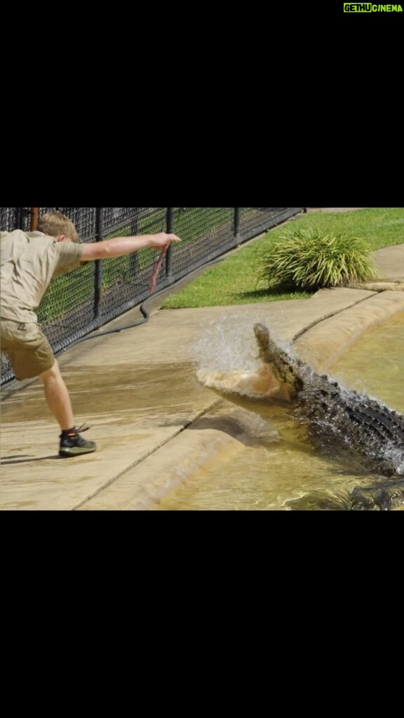 Robert Clarence Irwin Instagram - There’s no question - the strike from a saltwater crocodile is one of the most powerful forces on the planet. What a privilege to work with these dinosaurs every day!