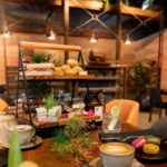 Robert Clarence Irwin Instagram - We are hosting an International Women’s Day high tea at Warrior Restaurant and Bar @crocodilehunterlodge by @australiazoo on March 8! A day of fascinating stories shared by women at the frontline of wildlife conservation (plus we have some great food on offer!). Check out the link in my bio to reserve your spot, don’t delay!