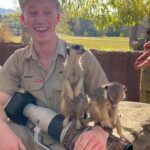 Robert Clarence Irwin Instagram - Meet our meerkat mob!
