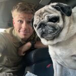 Robert Clarence Irwin Instagram - Stella the pug appreciation post 😂☺️❤️ @stellairwinthepug