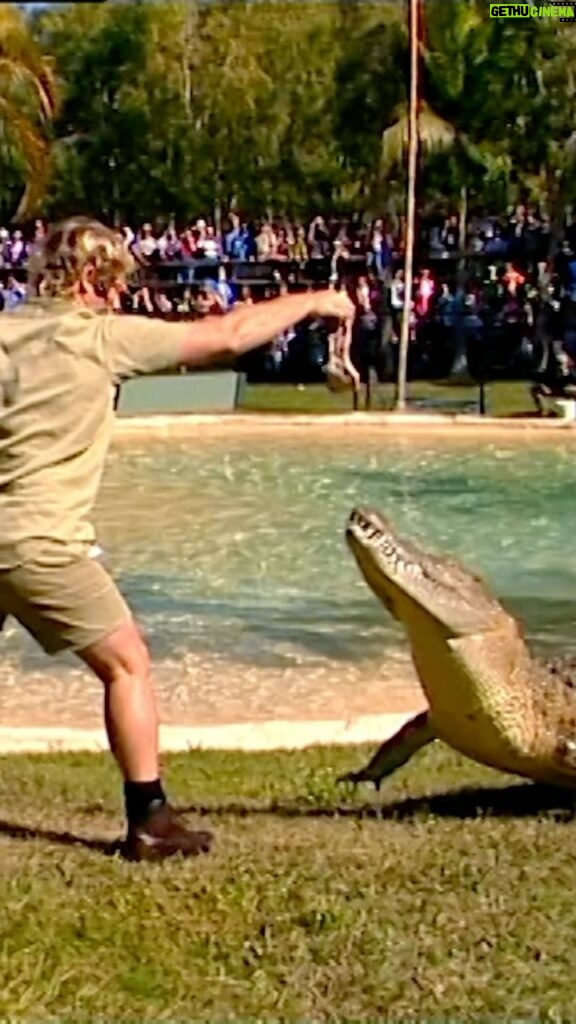 Robert Clarence Irwin Instagram - Bringing back one of my dad’s old favourites! A croc feed for a packed-out audience in one of his favourite places in Australia Zoo! This was a special one, a spur-of-the-moment idea I had… to follow in his footsteps and feed some of the very same crocs that he did. Thanks everyone for coming, it is awesome to see how Dad’s message and passion for crocs lives on!