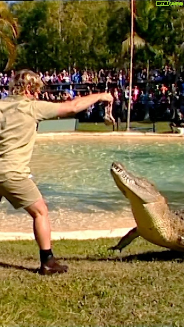 Robert Clarence Irwin - 715.8K Likes - Bringing back one of my dad’s old favourites! A croc feed for a packed-out audience in one of his favourite places in Australia Zoo! This was a special one, a spur-of-the-moment idea I had… to follow in his footsteps and feed some of the very same crocs that he did. Thanks everyone for coming, it is awesome to see how Dad’s message and passion for crocs lives on!