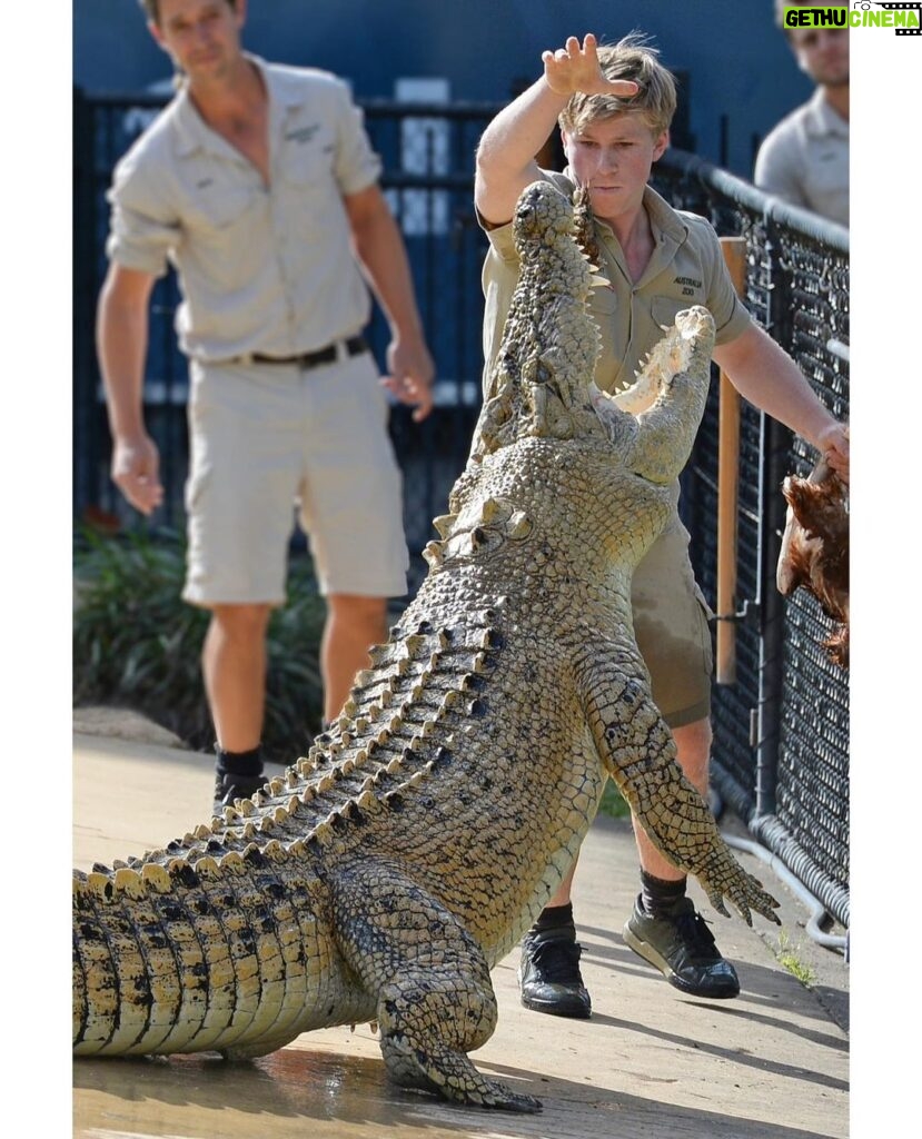 Robert Clarence Irwin Instagram - I’m feeding our beautiful crocodiles from now until December 13 live in the Crocoseum @australiazoo… see you here! 🐊