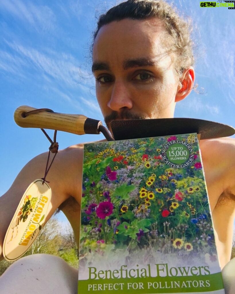 Robert Sheehan Instagram - WAY TO STAY POSITIVE - Plant some Native wildflower in your local park. Order a box or two online. It’s the best I’ve felt in a few days 🌺🌻🌞