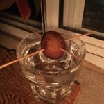 Robert Sheehan Instagram - Growing an avocado! I can’t describe the joy it gives me lads and lasses, and don’t be worrying about this “green thumb” bullshit everything requires practise, trial and error 🍄
