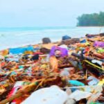 Robert Sheehan Instagram - Children of the Revolution - All 1.5 MILLION OF YE!! 💥🎗❤️ Whooop! I been learning, about our single use plastics. We’re currently on track for 9 TRILLION TONS of it to go in the ocean this year. 9 TRILLION fucking tons ?? We are poisoning our lovely little planet. And very quickly. That‘s a legacy I don’t want any more part of. It’s too soul crushing. I’m having a look at my own life and seeing what it’s costing our lovely planet. I would love to pass along our lovely planet in a healthier state than we received it. Easier said than done of course, but from now on I’m doing my little bit by - Avoiding single use plastics (as much as physically poss) - Buying from companies that have come up with lovely organic alternatives to plastic (cleaning products / food storage / water / whatever ) - Showing off occasionally for decent organisations that are trying to stem the enormous tides of poisonous waste - Signing petitions to pressurise our lovely government officials, to demonstrate to them en masse (i hope) that it’s no longer acceptable like this - I love being alive, it’s very interesting, and we are allowing convenience, to threaten our very existence and prosperity and for why ? Apathy ? There’s a million things to be concerned about these days, a lot of things vying for our attention, but with a few small small small changes, we can create a NEW NORM around how we consume, and vastly reduce the amount of unnecessary plastic we put in our oceans. Thanks, god bless and much love to ye all ❤️❤️❤️ Planet Earth