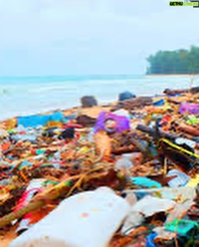 Robert Sheehan Instagram - Children of the Revolution - All 1.5 MILLION OF YE!! 💥🎗❤️ Whooop! I been learning, about our single use plastics. We’re currently on track for 9 TRILLION TONS of it to go in the ocean this year. 9 TRILLION fucking tons ?? We are poisoning our lovely little planet. And very quickly. That‘s a legacy I don’t want any more part of. It’s too soul crushing. I’m having a look at my own life and seeing what it’s costing our lovely planet. I would love to pass along our lovely planet in a healthier state than we received it. Easier said than done of course, but from now on I’m doing my little bit by - Avoiding single use plastics (as much as physically poss) - Buying from companies that have come up with lovely organic alternatives to plastic (cleaning products / food storage / water / whatever ) - Showing off occasionally for decent organisations that are trying to stem the enormous tides of poisonous waste - Signing petitions to pressurise our lovely government officials, to demonstrate to them en masse (i hope) that it’s no longer acceptable like this - I love being alive, it’s very interesting, and we are allowing convenience, to threaten our very existence and prosperity and for why ? Apathy ? There’s a million things to be concerned about these days, a lot of things vying for our attention, but with a few small small small changes, we can create a NEW NORM around how we consume, and vastly reduce the amount of unnecessary plastic we put in our oceans. Thanks, god bless and much love to ye all ❤️❤️❤️ Planet Earth