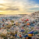 Robert Sheehan Instagram - Children of the Revolution - All 1.5 MILLION OF YE!! 💥🎗❤️ Whooop! I been learning, about our single use plastics. We’re currently on track for 9 TRILLION TONS of it to go in the ocean this year. 9 TRILLION fucking tons ?? We are poisoning our lovely little planet. And very quickly. That‘s a legacy I don’t want any more part of. It’s too soul crushing. I’m having a look at my own life and seeing what it’s costing our lovely planet. I would love to pass along our lovely planet in a healthier state than we received it. Easier said than done of course, but from now on I’m doing my little bit by - Avoiding single use plastics (as much as physically poss) - Buying from companies that have come up with lovely organic alternatives to plastic (cleaning products / food storage / water / whatever ) - Showing off occasionally for decent organisations that are trying to stem the enormous tides of poisonous waste - Signing petitions to pressurise our lovely government officials, to demonstrate to them en masse (i hope) that it’s no longer acceptable like this - I love being alive, it’s very interesting, and we are allowing convenience, to threaten our very existence and prosperity and for why ? Apathy ? There’s a million things to be concerned about these days, a lot of things vying for our attention, but with a few small small small changes, we can create a NEW NORM around how we consume, and vastly reduce the amount of unnecessary plastic we put in our oceans. Thanks, god bless and much love to ye all ❤️❤️❤️ Planet Earth
