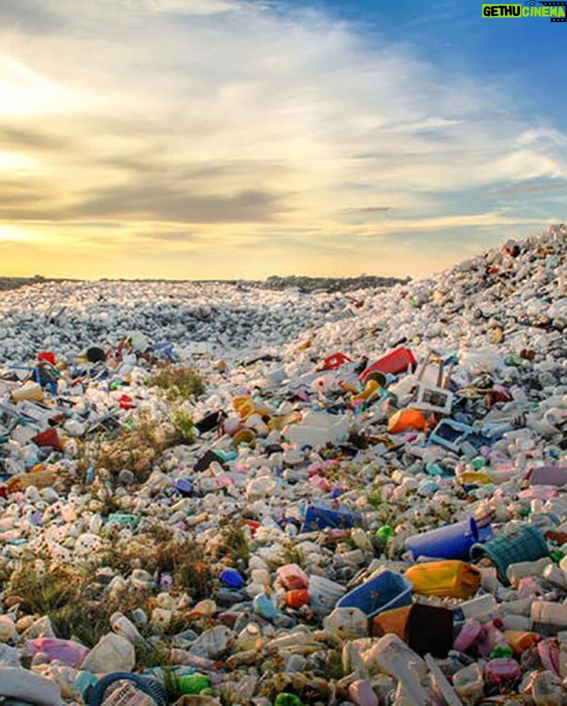 Robert Sheehan Instagram - Children of the Revolution - All 1.5 MILLION OF YE!! 💥🎗❤️ Whooop! I been learning, about our single use plastics. We’re currently on track for 9 TRILLION TONS of it to go in the ocean this year. 9 TRILLION fucking tons ?? We are poisoning our lovely little planet. And very quickly. That‘s a legacy I don’t want any more part of. It’s too soul crushing. I’m having a look at my own life and seeing what it’s costing our lovely planet. I would love to pass along our lovely planet in a healthier state than we received it. Easier said than done of course, but from now on I’m doing my little bit by - Avoiding single use plastics (as much as physically poss) - Buying from companies that have come up with lovely organic alternatives to plastic (cleaning products / food storage / water / whatever ) - Showing off occasionally for decent organisations that are trying to stem the enormous tides of poisonous waste - Signing petitions to pressurise our lovely government officials, to demonstrate to them en masse (i hope) that it’s no longer acceptable like this - I love being alive, it’s very interesting, and we are allowing convenience, to threaten our very existence and prosperity and for why ? Apathy ? There’s a million things to be concerned about these days, a lot of things vying for our attention, but with a few small small small changes, we can create a NEW NORM around how we consume, and vastly reduce the amount of unnecessary plastic we put in our oceans. Thanks, god bless and much love to ye all ❤️❤️❤️ Planet Earth