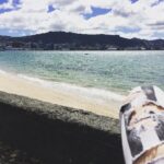 Robert Sheehan Instagram - New Zealand is f*ckin fab this time o’year Oriental Bay