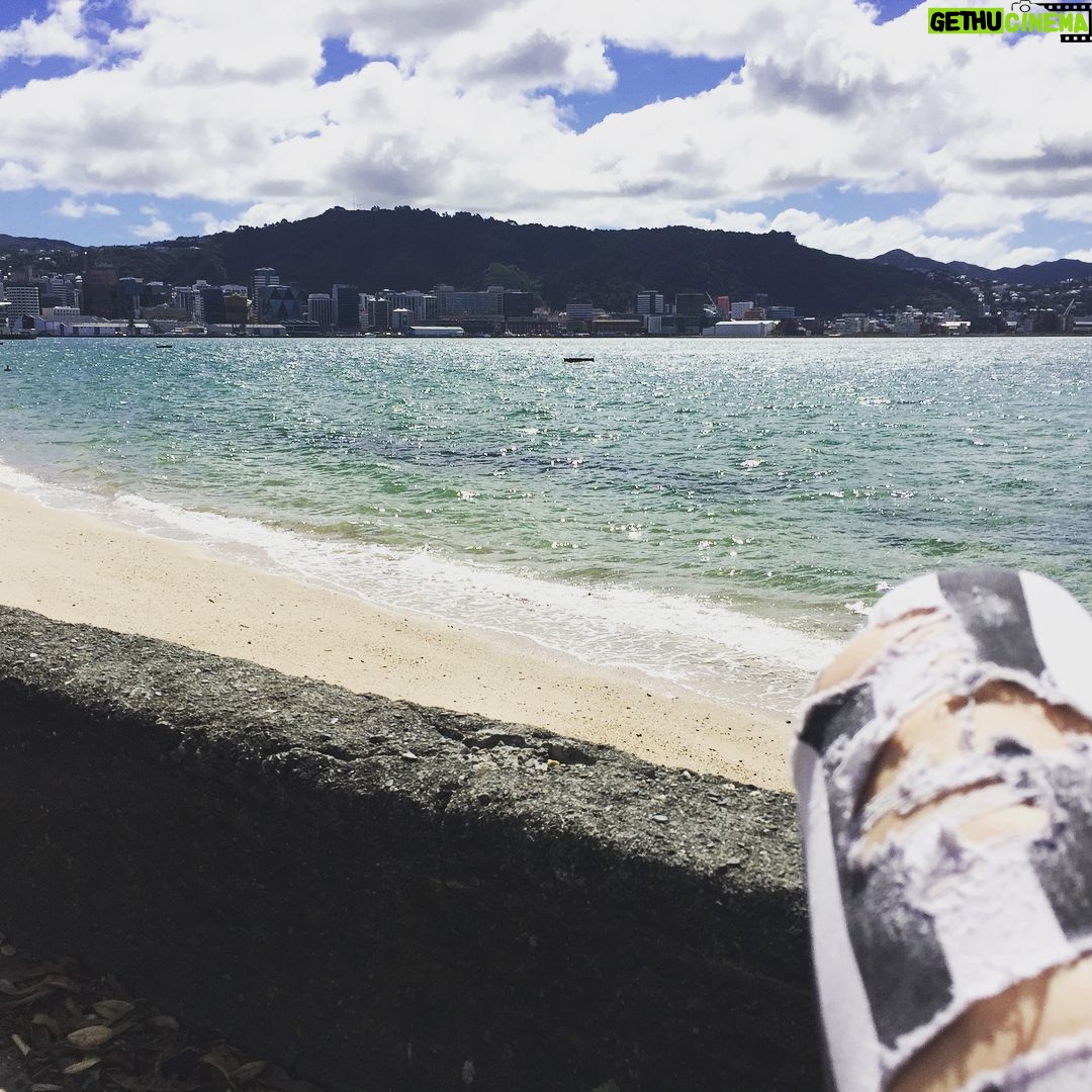 Robert Sheehan Instagram - New Zealand is f*ckin fab this time o’year Oriental Bay