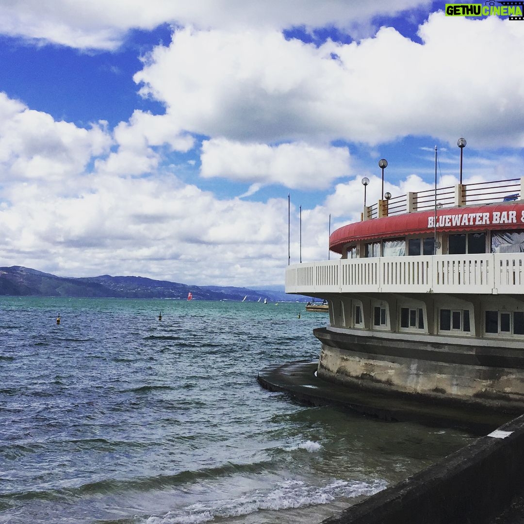 Robert Sheehan Instagram - New Zealand is f*ckin fab this time o’year Oriental Bay