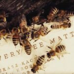 Robert Sheehan Instagram - Looking for environmental gift idea ? BeeSavingPaper.com I got all my Christmas wrapping there this year, and once you’re done with it you rip it up and plant it in the ground, and it grows into the plant she makes the paper from ! It’s a miracle (they haven’t paid me nothin) #bees @bee_saving_paper The World