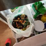 Robert Sheehan Instagram - Hello, So here’s a little update on my zero waste mish. It’s been about since August(ish), when I started getting my main shop at zero waste markets. At first it felt jarring and labour intensive, to have to bring bags and containers and fill them up at the shop, but now it feels habitual. Food shopping has become a more interesting experience, and my appetite to try new things has increased. Plus, it compels me to eat healthier, and eat healthier versions of unhealthy stuff. So that’s (little to) no single use plastic waste from my food shop. At work shooting Umbrella, I avoid single use plastics by leaving my reusable cup (for tea / coffee) there, and some nice cutlery in a drawer (far more pleasant to than eating with a crappy plastic fork that snaps on a cold carrot). So that’s no daily disposable cups / cutlery. I bring some bottles of dressingg Production have kindly made sure we all eat lunch / breakfast from compostable or cardboard containers. At home, I do the organic waste bin in the freezer technique (picture). Lemon peels, teabags and eggshells (eggshells are great for crushing up and putting straight in your plant pots). Gratefully, Toronto city do a curbside food waste collection service, so my scraps either become compost for more growing, or are fed into an anaerobic digester and harnessed for energy. That offsets the need for more oil and natural gas. Toronto’s aim in the future is to refine their process to the point where our food waste keeps us all warm. If I get takeout - now this isn’t 100% of the time, sometimes I get deliveries - I bring my containers to the restaurant and they put the food in those. Again, at first it felt very alien and cumbersome to be lugging lunchboxes to my local restaurant in a bag, but from the familiar expression on the restauranteur’s face behind the counter, I realised I wasn’t the only one. Far from it. Lots of people are doing this to avoid half-a-bin’s worth of unnecessary single use plastic or styrofoam sitting in their bin after their dinner. You can also filter your Uber eats searches to show takeout restaurants that are committed to compostable / sustainable packaging (Continued in comments...) Planet Earth