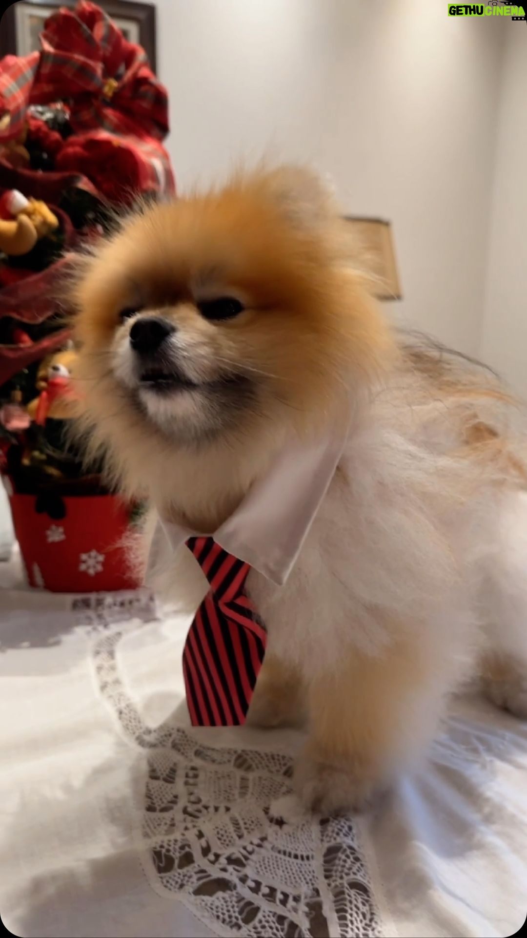 Roberta Miranda - 45.2K Likes - Feliz Natal!!! Votos da família Miranda !!