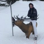 Robin van Persie Instagram - My deerest friend on the slopes 😎