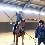Robin van Persie Instagram - Life begins at the end of your comfort zone 💪 Had a few great days at the stables with the family, thanks for having us @levi_driessen & @maxime_van_der_vlist 😁 Also big thanks for the mental support @bouchravanpersie @vanpersiehorses @shaqueelvanpersie @soleilsportponys 🤣 🎶Oh horsey van Persie oh horsey van Persie 🎶
