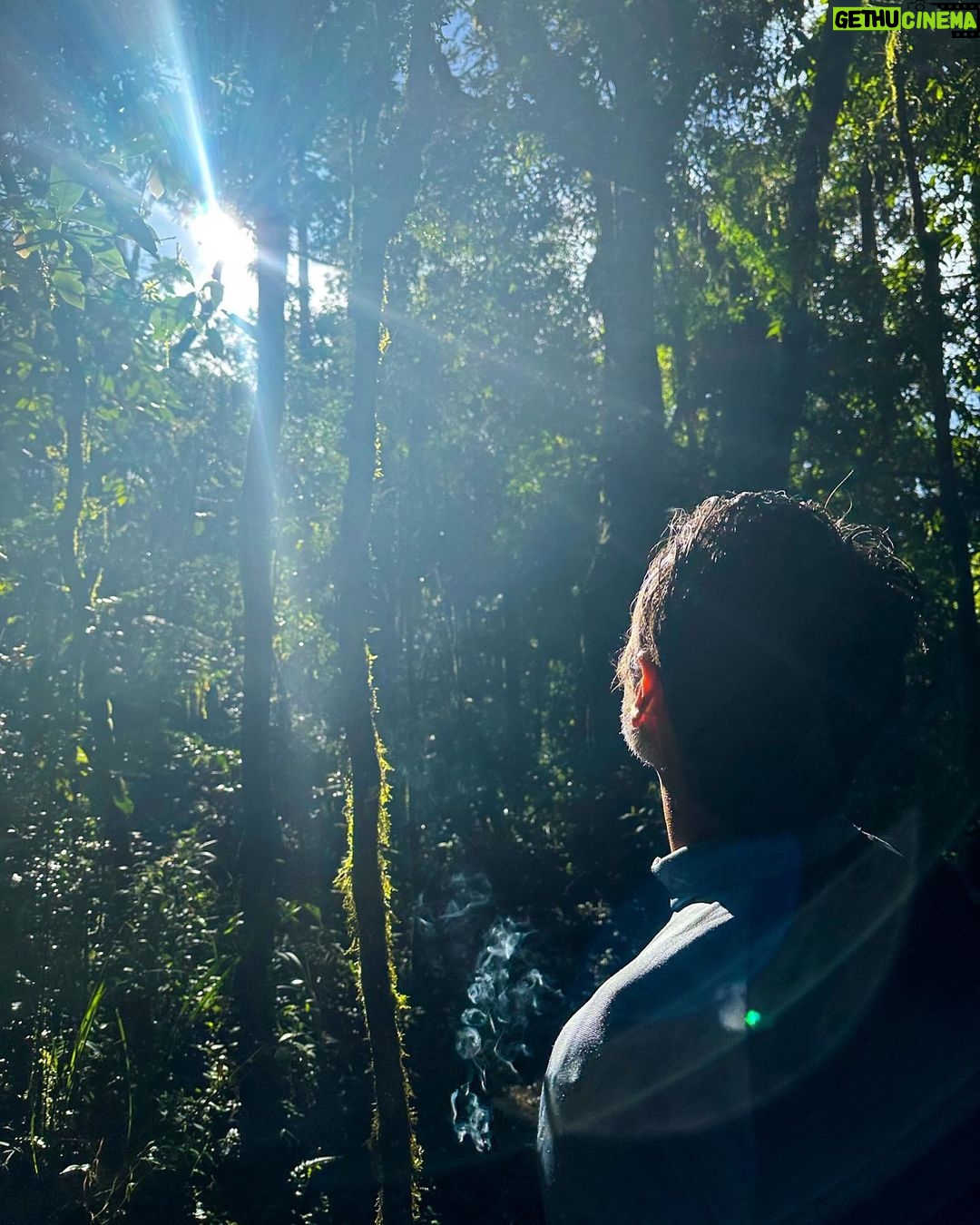 Rodrigo Santoro Instagram - Mem贸rias recentes馃尰