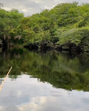 Rodrigo Santoro Instagram - Nem mil imagens traduziriam essa expedição na Amazônia. É preciso estar aqui pra ouvir os sons da natureza, compreender os seus caminhos e a sua forma de vida. Muitas raízes e histórias pra contar. Passar esses dias aprendendo em um dos nossos maiores patrimônios foi muito significativo.