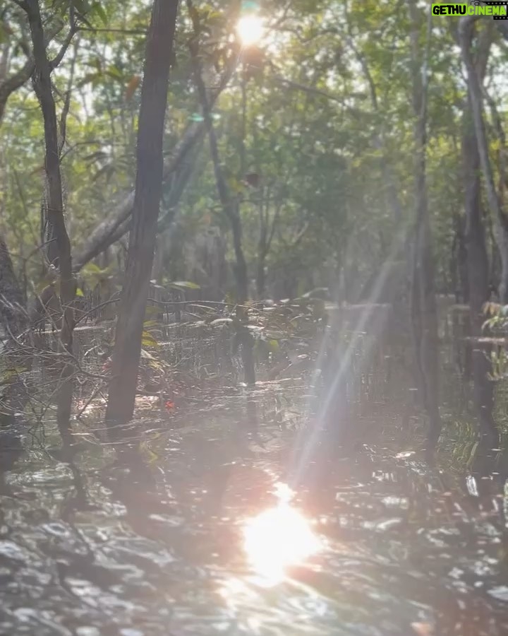 Rodrigo Santoro Instagram - Sempre ouvi falar muito na força da Amazônia, mas foi só agora, depois de passar dias e noites imerso nessa imensidão, que comecei a entender. Nesses registros, estão apenas algumas das tantas maneiras que essa terra mexeu com a gente. Testemunhar a minha filha conhecendo o coração pulsante do Brasil foi impactante. Me fez pensar sobre futuro e esperança. A Amazônia é uma professora soberana. Aprender com ela é essencial; é uma questão de Educação. Ainda temos tempo, mas não muito. Aqui vive um dos maiores tesouros do nosso país. Que a gente nunca feche os olhos pra isso. Muito obrigado @ruyctone por nos conduzir nessa jornada e nos inspirar com seu trabalho transformador 🌳