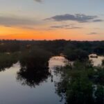 Rodrigo Santoro Instagram - Sempre ouvi falar muito na força da Amazônia, mas foi só agora, depois de passar dias e noites imerso nessa imensidão, que comecei a entender. Nesses registros, estão apenas algumas das tantas maneiras que essa terra mexeu com a gente. Testemunhar a minha filha conhecendo o coração pulsante do Brasil foi impactante. Me fez pensar sobre futuro e esperança. A Amazônia é uma professora soberana. Aprender com ela é essencial; é uma questão de Educação. Ainda temos tempo, mas não muito. Aqui vive um dos maiores tesouros do nosso país. Que a gente nunca feche os olhos pra isso. Muito obrigado @ruyctone por nos conduzir nessa jornada e nos inspirar com seu trabalho transformador 🌳