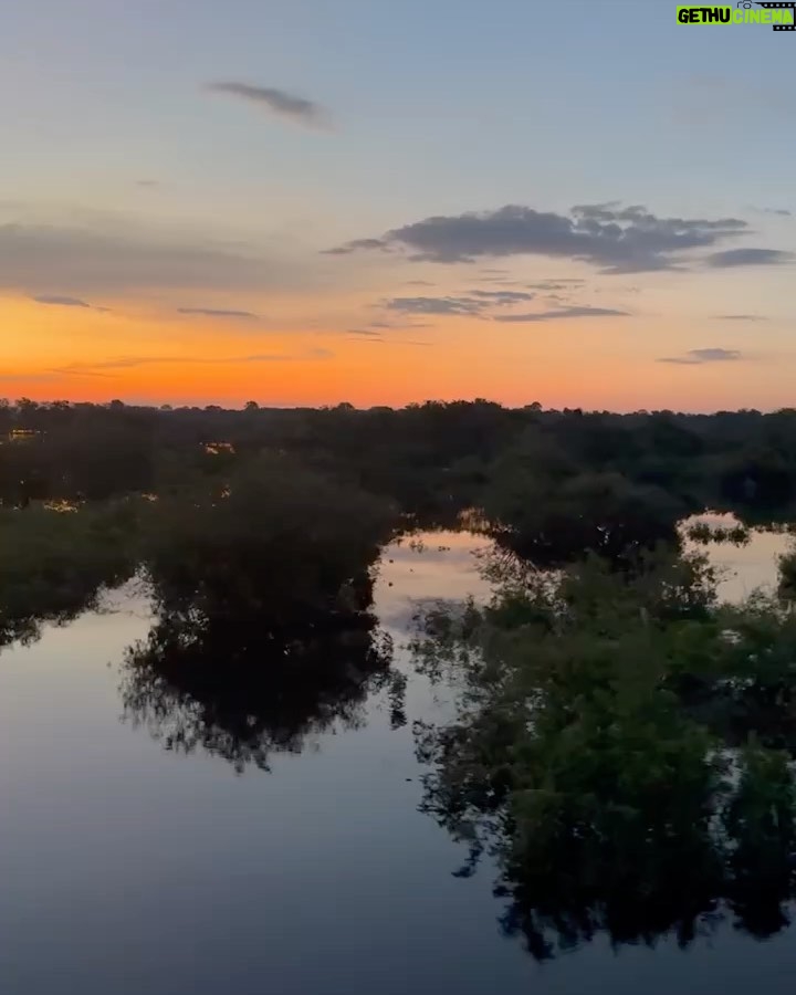 Rodrigo Santoro Instagram - Sempre ouvi falar muito na força da Amazônia, mas foi só agora, depois de passar dias e noites imerso nessa imensidão, que comecei a entender. Nesses registros, estão apenas algumas das tantas maneiras que essa terra mexeu com a gente. Testemunhar a minha filha conhecendo o coração pulsante do Brasil foi impactante. Me fez pensar sobre futuro e esperança. A Amazônia é uma professora soberana. Aprender com ela é essencial; é uma questão de Educação. Ainda temos tempo, mas não muito. Aqui vive um dos maiores tesouros do nosso país. Que a gente nunca feche os olhos pra isso. Muito obrigado @ruyctone por nos conduzir nessa jornada e nos inspirar com seu trabalho transformador 🌳