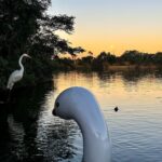 Rodrigo Santoro Instagram - 🦢💛