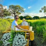 Rodrigo Santoro Instagram - 50 anos de casados 🌻 “O amor é paciente, o amor é bondoso. Não inveja, não se vangloria, não se orgulha. Não maltrata, não procura os próprios interesses, não se ira, não guarda rancor. O amor não se alegra com a injustiça, mas se alegra com a verdade. Tudo sofre, tudo crê, tudo espera, tudo suporta”. Que sorte ser fruto desse Amor❤️