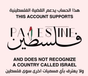 Rogena Instagram - اللهم احفظ فلسطين وشعبها 🙏🙏
#فلسطين 
#paleatine
#freepalestine🇵🇸