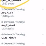 Rogena Instagram - الحمد والشكر لله باذنك يارب تجعل رزقنا النجاح من فضلك مدد يارب مدد بلا عدد كله باذنه مسلسل #سر_إلهى #شهر_الفرحه🌙✨ #رمضان_2024