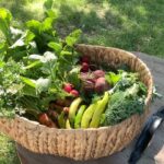 Rose Namajunas Instagram - This season has been pretty delayed for a number of reasons but I’m happy to finally be filling up my basket with harvest🙌 started reading my copy of the living soil handbook by Jesse Frost and @notillgrowers to up my game for next season and beyond! 👩‍🌾