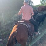 Rose Namajunas Instagram - Cow herding @uncompahgre_farms 👩‍🌾🥳 they make the best beef products!! They roam and munch on all this beautiful land and grass!!!