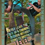 Rose Namajunas Instagram - Leveling up for sure 💪#Repost @gregnelsonmma ・・・ Training is the Heart of the Martial Arts. Training is the the fuel that feeds the dream. #enjoythejourney #training #heart #fuel #desire #process #growth #challenge #levelup #champion #ufc #mma #kickboxing #martialartslife @theacademymn @cswassociation @worldthaiboxingassociation @pedrosauer_bjja @rosenamajunas @hypeordie