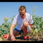 Rose Namajunas Instagram - #bearfruit #plantaseed #communitygarden @rvca @denverurbangardens